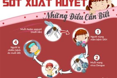 BÀI TUYÊN TRUYỀN PHÒNG CHỐNG SỐT XUẤT HUYẾT